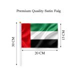 12 pcs flag