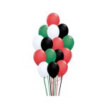 UAE Latex Baloon 40 pcs Large size
